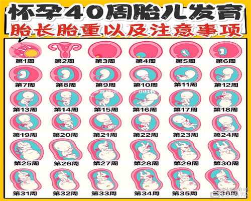上海供卵试管成功率是多少_上海供卵马来西亚_试管婴儿过程中染色体反常分为
